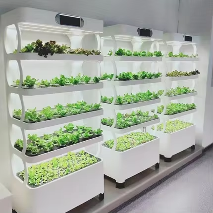 Greenhouse Mini Indoor - 미니 수경재배 시스템 실내 채소 재배