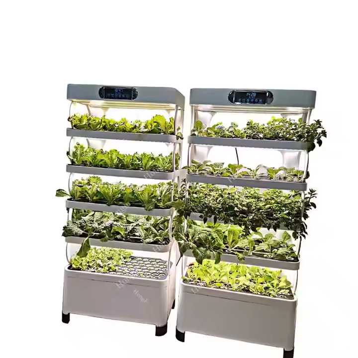 미니 수경재배 시스템 실내 채소 재배 캐비닛 LED 조 - Greenhouse Mini Indoor 리뷰 및 가격
