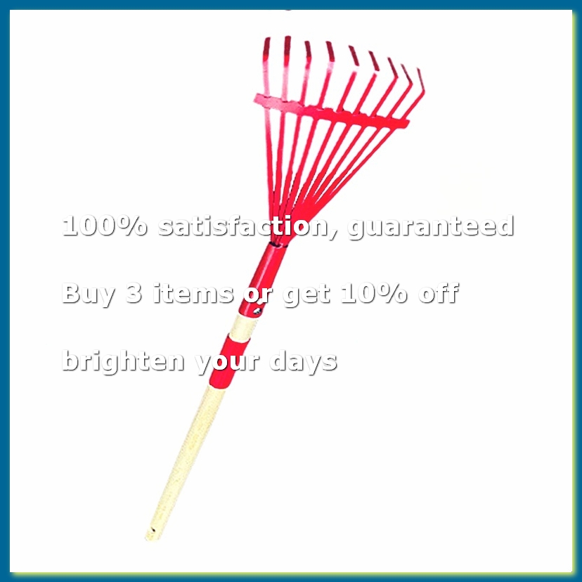 단단한 나무 손잡이가 있는 어린이용 갈퀴와 귀여운 어린 - Gardening Tools For 3 Year Old 리뷰 및 가격