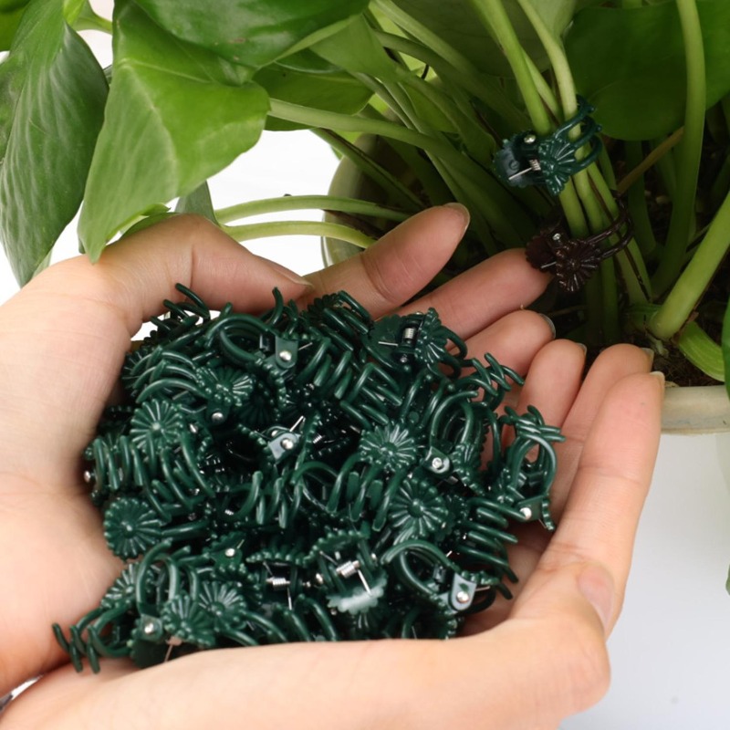 정원 꽃 난초 덩굴 식물 고정 클립 가지 토마토 포도  - Gardening Tools Wholesale 리뷰 및 가격
