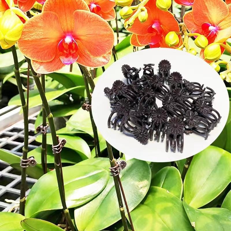 정원 꽃 난초 덩굴 식물 고정 클립 가지 토마토 포도  - Gardening Tools Wholesale 리뷰 및 가격