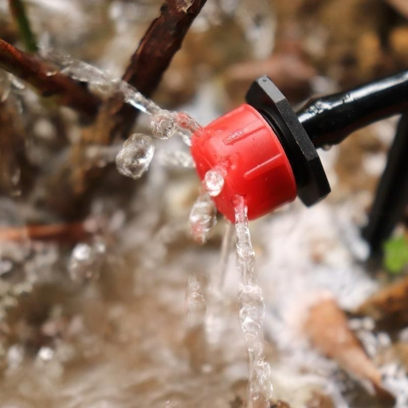 30/300개 8홀 리틀 레드 라이딩 후드 드리퍼 이머 - Garden Hose Nozzle 리뷰 및 가격