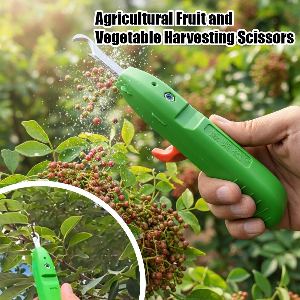 과일 및 채소 수확용 가위, 정원용 전정 가위, 곡선형 - Gardening Tools Wholesale 리뷰 및 가격