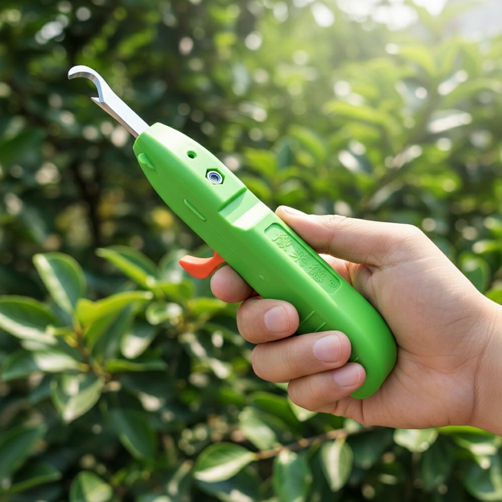 과일 및 채소 수확용 가위, 정원용 전정 가위, 곡선형 - Gardening Tools Wholesale 리뷰 및 가격