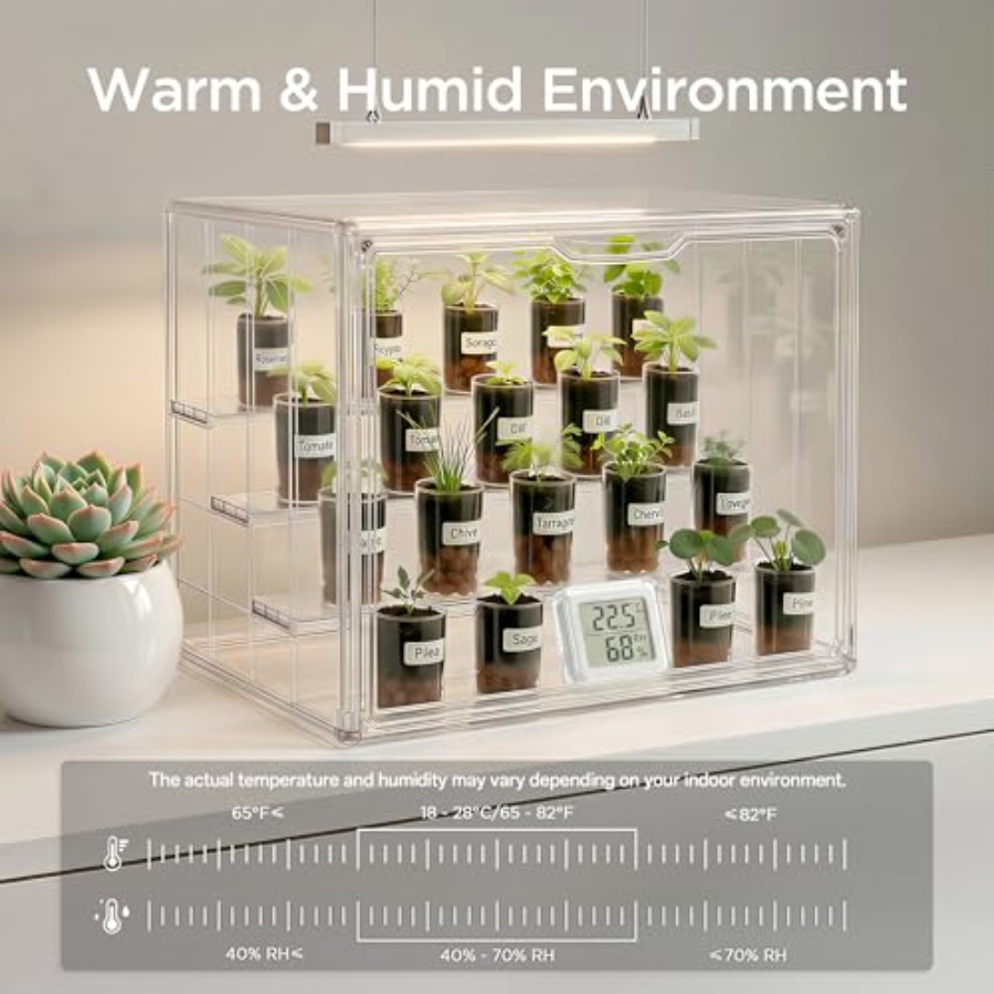 실내 탁상용 미니 온실, 작은 식물 묘목장용, 투명 플 - Greenhouse Mini Indoor 리뷰 및 가격