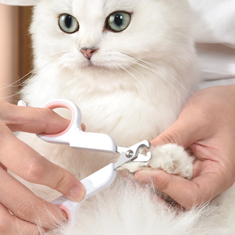 강아지 고양이 애완동물용 발톱깎이 - 애완동물 관리용  - Gardening Tools Wholesale 리뷰 및 가격