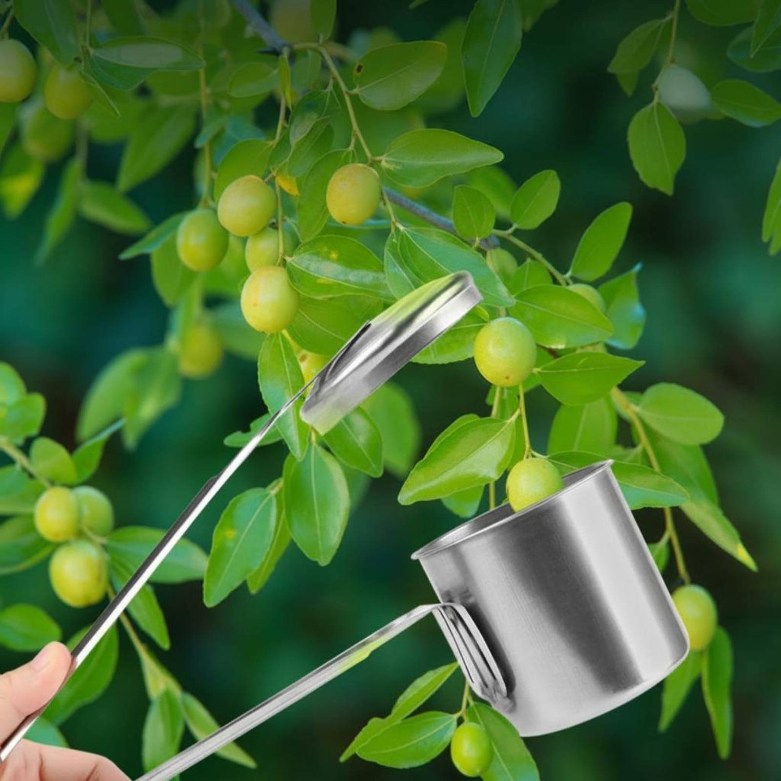 컵형 과일 따는 도구 스테인레스 스틸 과일 따는 도구  - Gardening Tools Uses 리뷰 및 가격