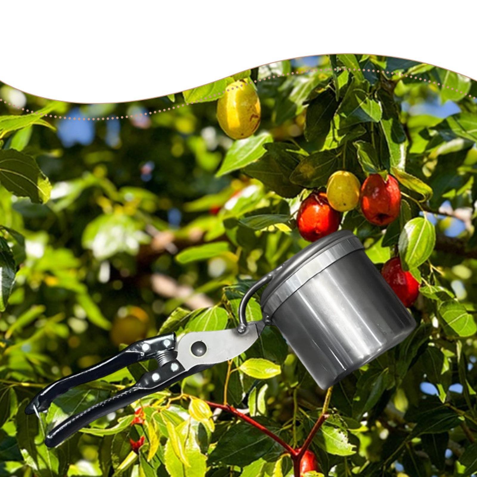 과일 선택기, 사용하기 쉬운 휴대용 원예 도구, 수동  - Gardening Tools Uses 리뷰 및 가격