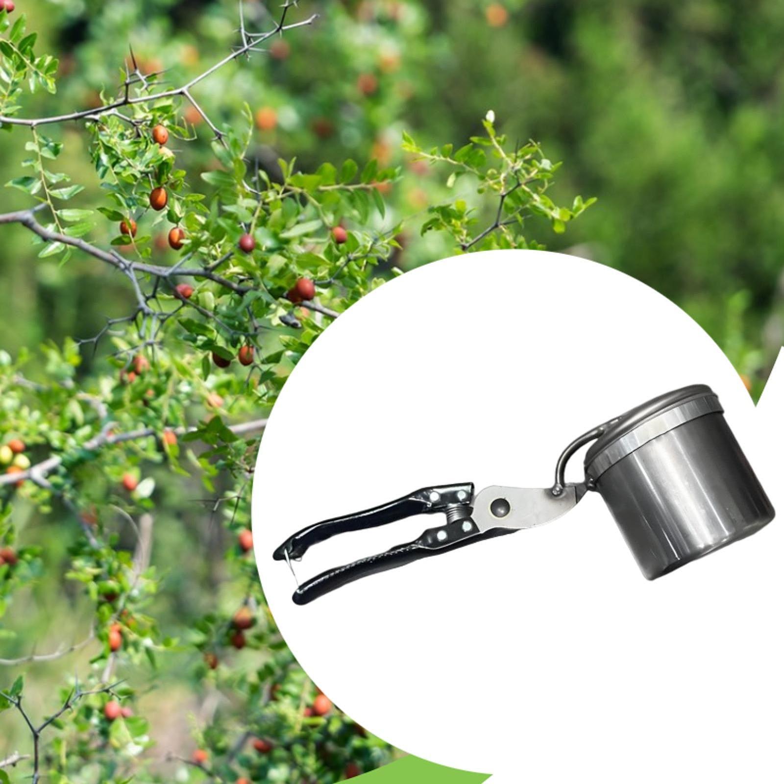 과일 선택기, 사용하기 쉬운 휴대용 원예 도구, 수동  - Gardening Tools Uses 리뷰 및 가격
