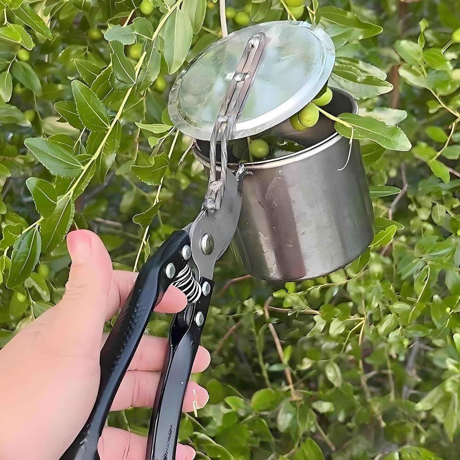 과일 선택기, 사용하기 쉬운 휴대용 원예 도구, 수동  - Gardening Tools Uses 리뷰 및 가격